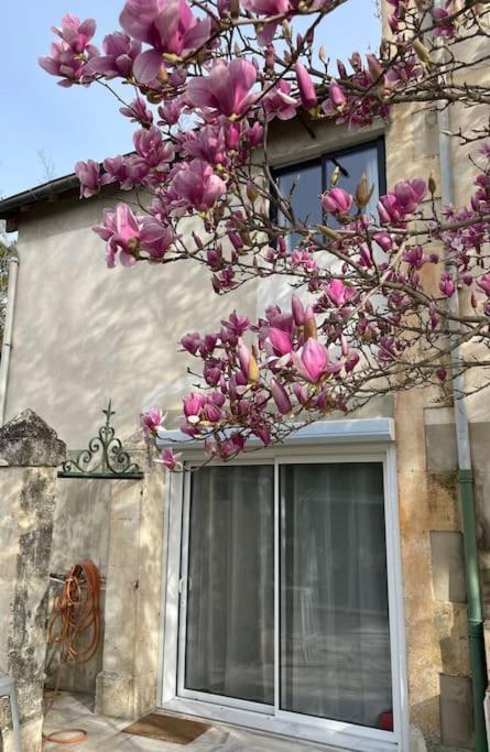 7 Rayons Villa Avignon Luaran gambar